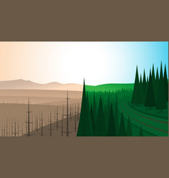 Forest Landscape Before And After Fire