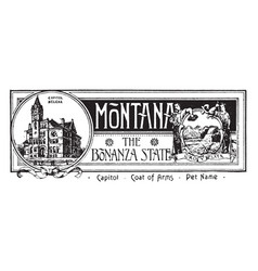 State Banner Of Montana The Bonanza