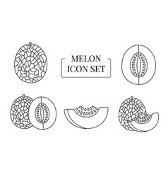 Fruit Melon Whole And Half Cut Into Slices Set