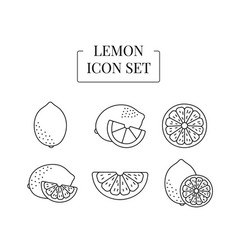 Fruit Lemon Whole And Half Cut Into Slices Set