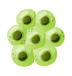 Green Eggs Of Frog Or Frogspawn Cluster