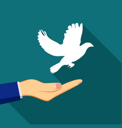 Hand Releasing White Pigeon Bird Freedom Wings