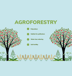 Agroforestry