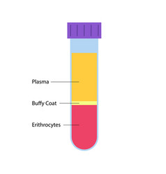 Platelet Rich Plasma Concept