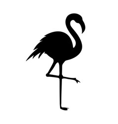 Flamingo Silhouette Image