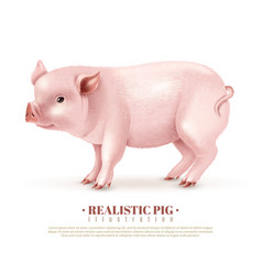 Realistic Pig