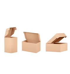 Brown Open Cardboard Box Mockup