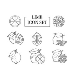 Lime Fruit Whole And Half Cut Into Slices Set