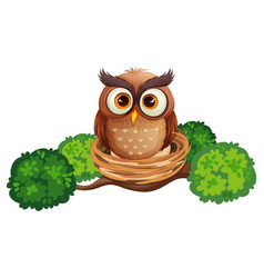 Owl In Nest Cartoon Character