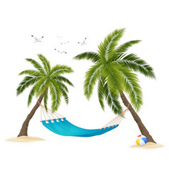 Realistic Empty Hammock Between Palm Trees