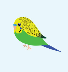 Cute Af A Budgie