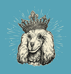 Beautiful Dog Poodle In Crown Drawn In Retro Style