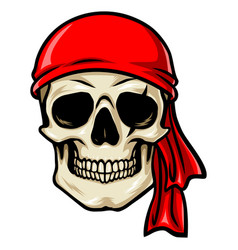 Pirate Skull Red Bandana Cartoon Drawing