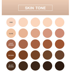 Skin Tone Infographic Color Table Chart Beauty