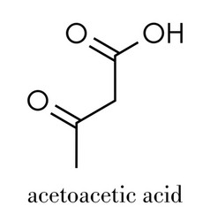 Ketone Body Acetoacetic Acid Diacetic Acid