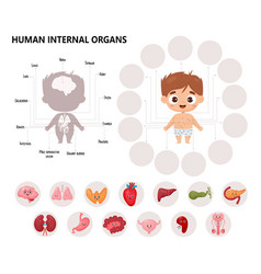 Anatomy Human Body Kids Cartoon Medical