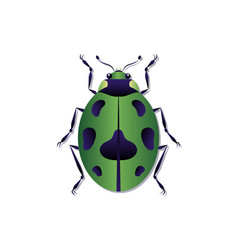 Green Beetle Art Ladybug Clipart Isolated