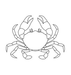 Crab