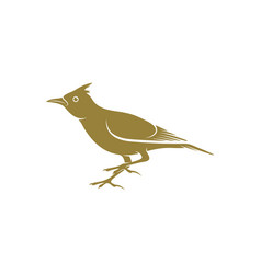 Lark Bird Design Creative Bird Logo Design