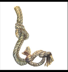 Watercolor Of Rope Roll For Camping