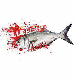 Bluefish