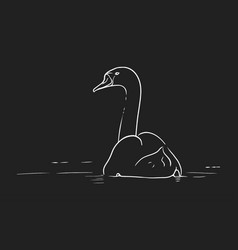 Swan Swimming Calmly In The Water Line Art On