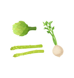 Celery Asparagus And Globe Artichoke