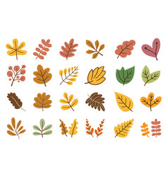 Autumn Leaves Flower Decoration Element