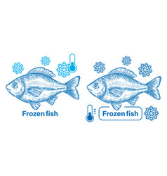 Fresh Frozen Carp Fish Freezing Ice Seafood Icon