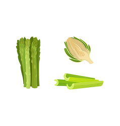 Celery Asparagus And Globe Artichoke