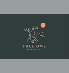 Tree Owl