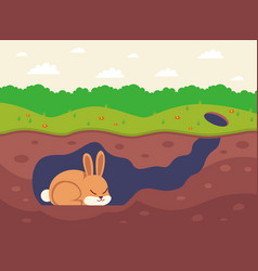 A Sleeping Rabbit Sleeps In Hole