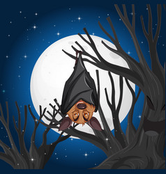 A Bat Hanging On Tree At Night Scene