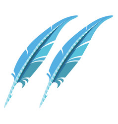 Blue Feathers On A White Background