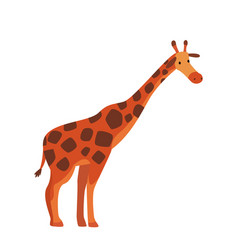 Cute Giraffe Jungle Animal Side View African