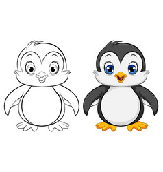 Cute Baby Penguin Cartoon