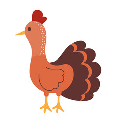 Turkey Bird Icon