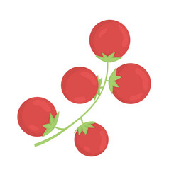 Cherry Tomatoes Semi Flat Color Object