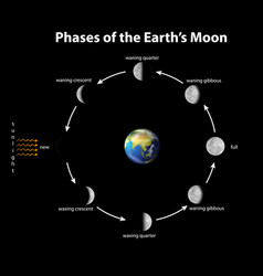 Diagram Showing Phases Earth Moon