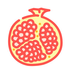 Cut Pomegranate Color Icon