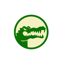 Cute young green crocodile on a white background Vector Image