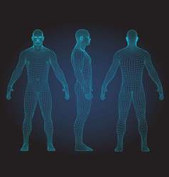 3d wireframe human body Royalty Free Vector Image