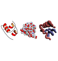 Insulin Peptide Hormone Chemical Structure