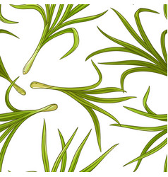 Lemongrass Plant Pattern