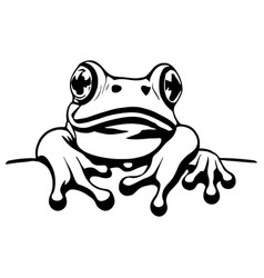 Frog Artwork