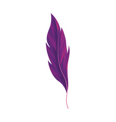 Purple Feather Icon