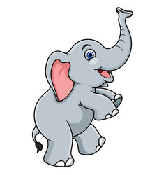 Cartoon Baby Elephant On White Background