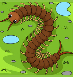 Centipede Animal Colored Cartoon