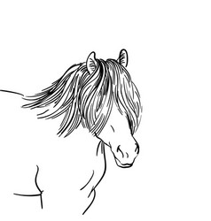 Horse Portrait Sketch With Long Mane Covered Eyes