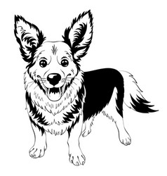 Sketch Dog Welsh Corgi Smiling